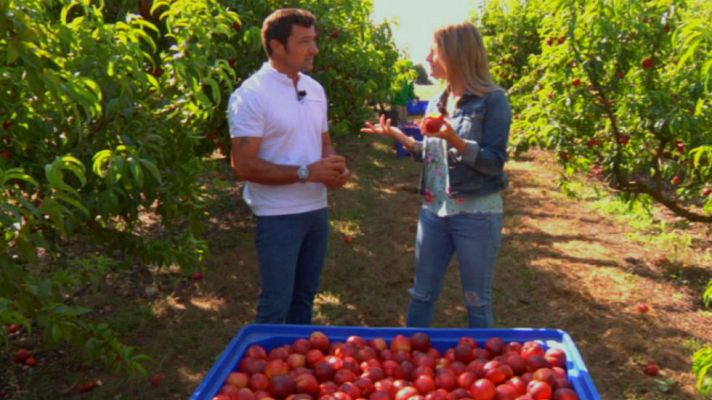 Aquí la Tierra - ¡Es tiempo de nectarinas!