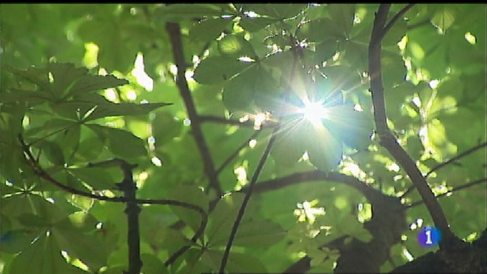 El tiempo en Asturias - 23/07/18 | Ver