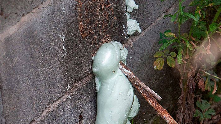 Telediario 1 - Un 3% de la población es alérgica al veneno de la avispa asiática