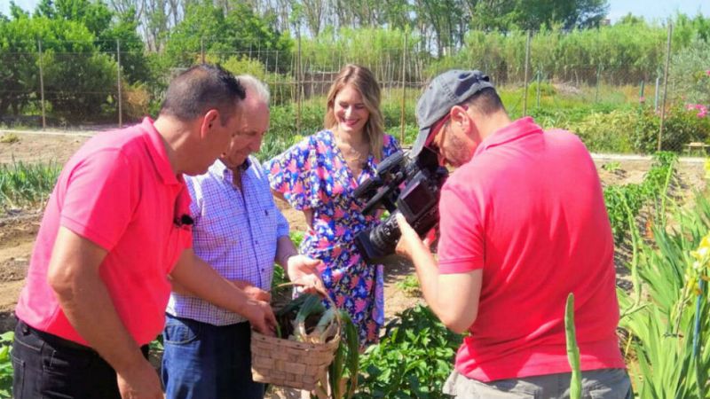 Aquí la tierra - Las pochas son de Tudela