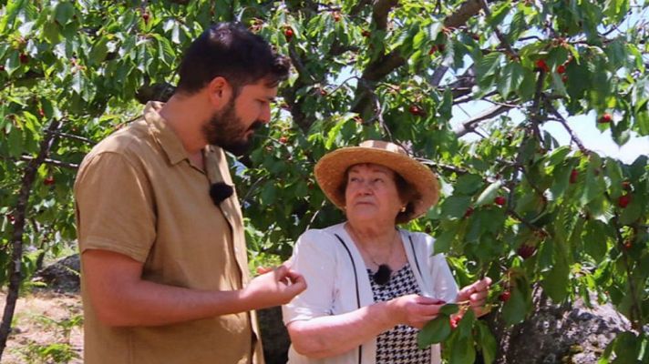 Aquí la Tierra - Hora de picotear cerezas