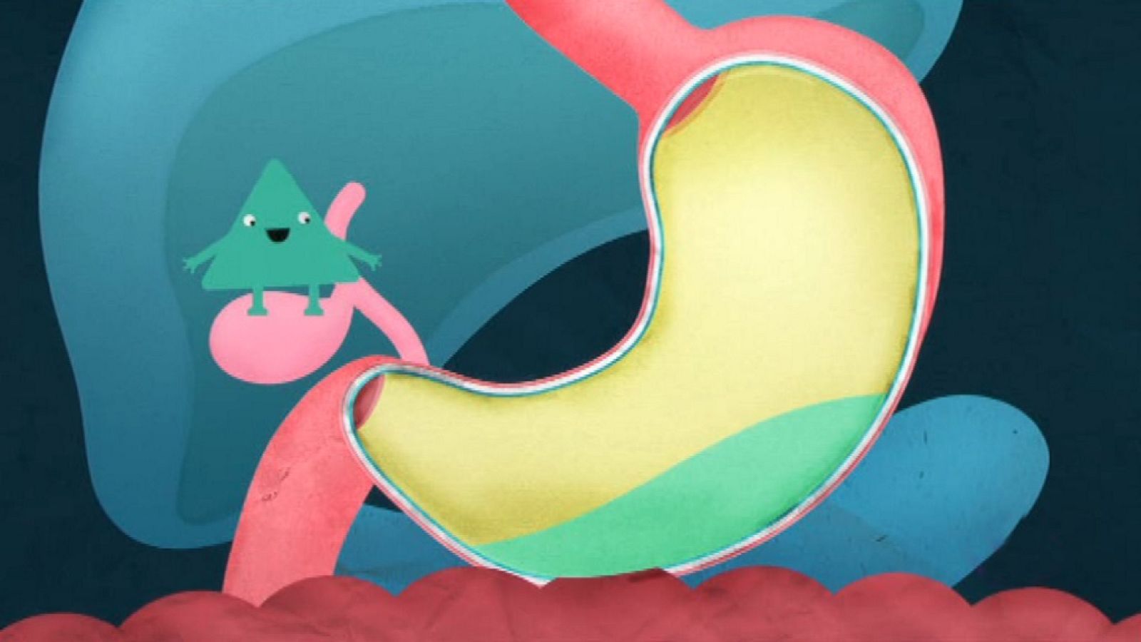 Ruido de tripas - Messy va a Okido | Ver