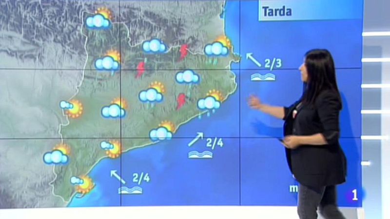 El Temps - 24/07/2018