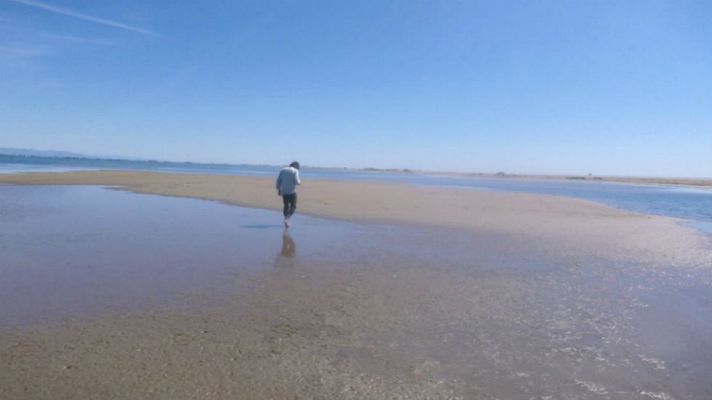 Aquí la Tierra - Los Alfaques, calidad ambiental