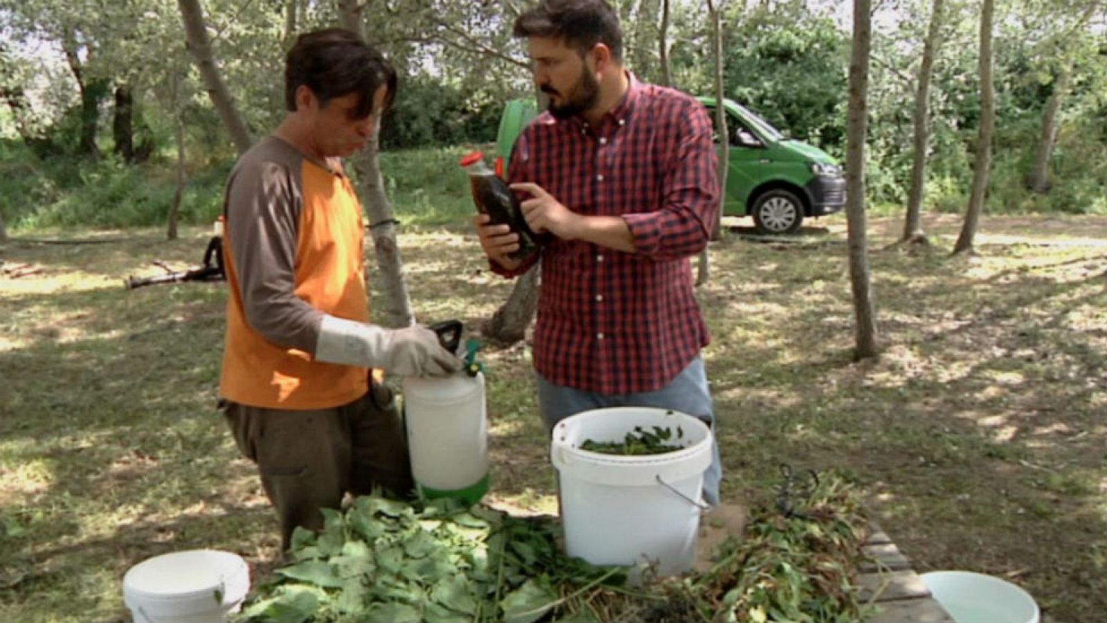 Un biofertilizante de ortiga