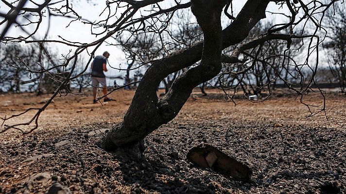  - "Esperanza", el barco que rescató a 50 personas de las llamas en Grecia