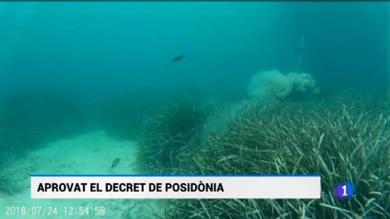 Informatiu Balear - 27/07/18