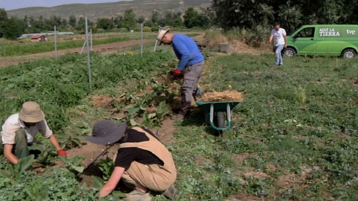 Aquí la Tierra - Un menú de huerta