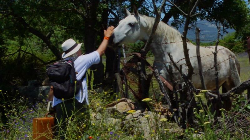 Aquí la tierra - El maletín de Juan Plantas para estas vacaciones
