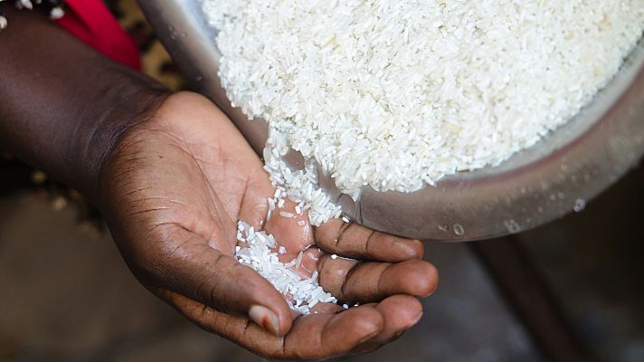 Telediario 1 - Una pomada profiláctica a base de arroz contra las infecciones por SIDA en África