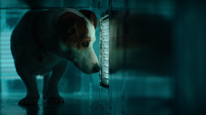 Sabuesos - Así comienza el estreno de 'Sabuesos'