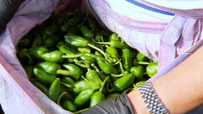 Aquí la Tierra - Pimientos de Herbón: pequeños pero matones