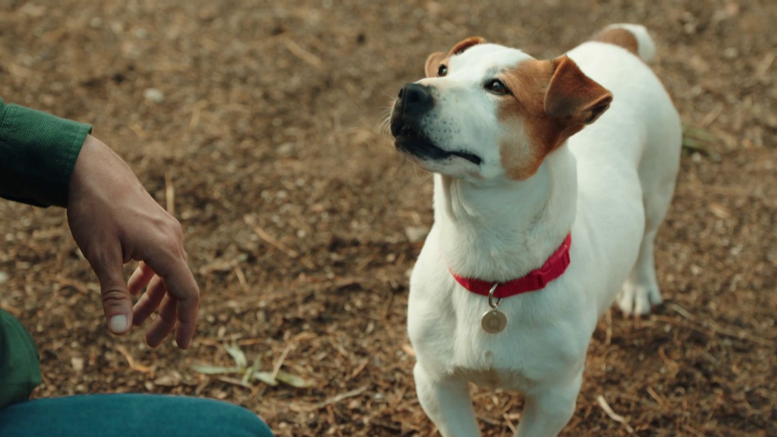 Sabuesos - Episodio 1 - Ver ahora