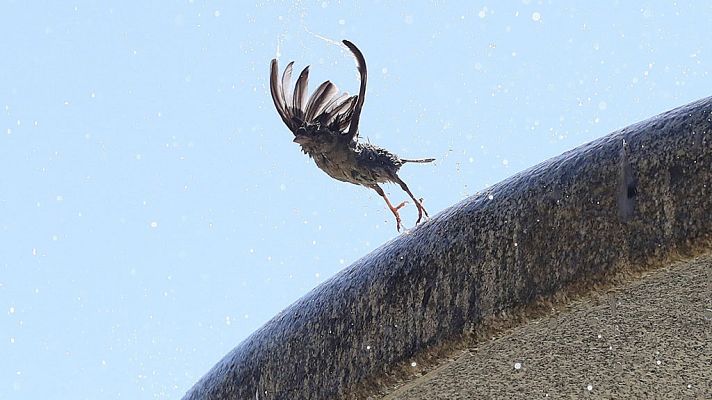 El tiempo - Temperaturas extremas en la Península y las Baleares hasta el lunes inclusive