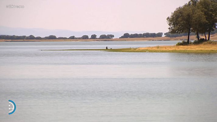 España Directo - España Directo - 01/08/18