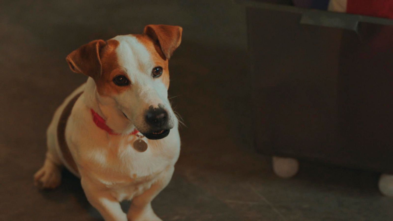 Sabuesos - A Max no pájaro que se le resista, el martes a las 22:40 en La 1