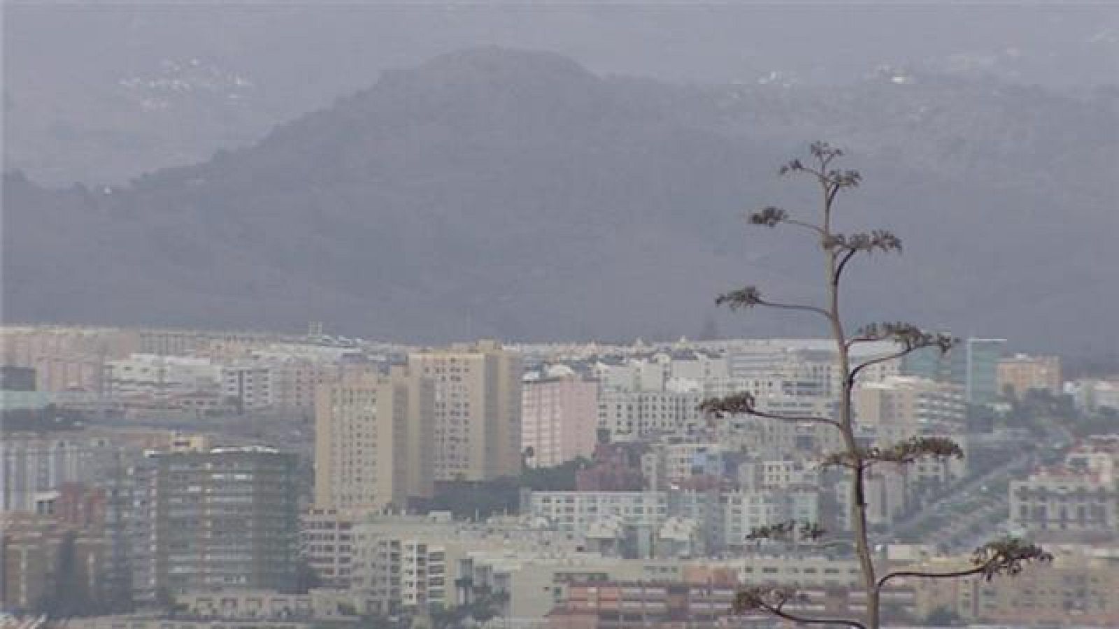 El tiempo en Canarias - 04/08/2018