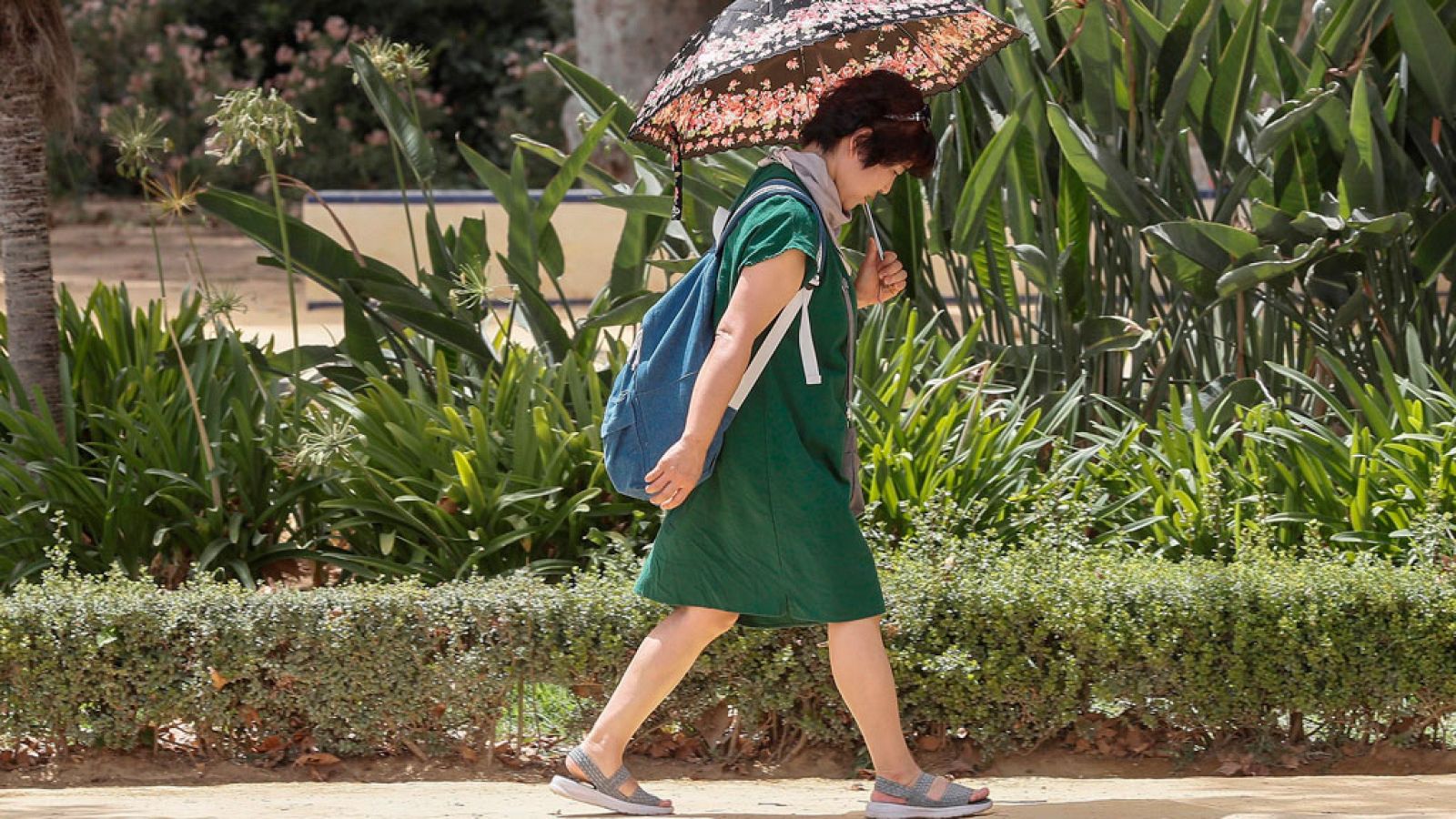 Suben los termómetros en el Cantábrico y Alto Ebro, y bajan en Galicia