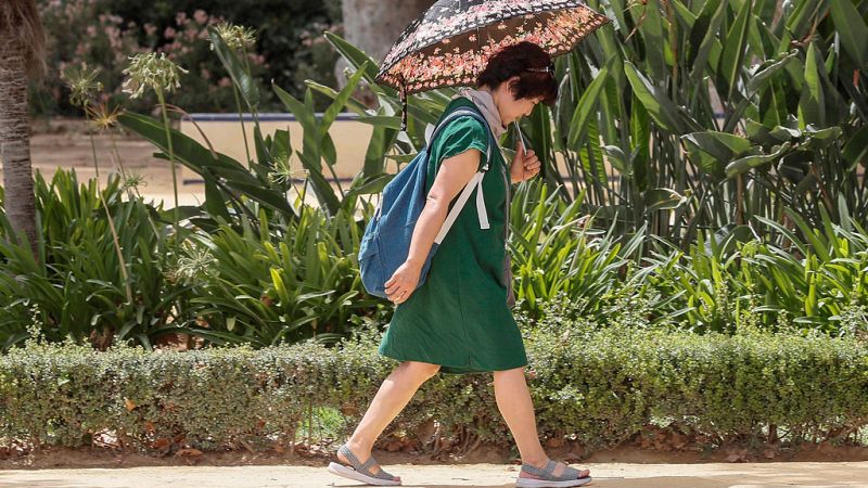Suben los termómetros en el Cantábrico y Alto Ebro, y bajan en Galicia