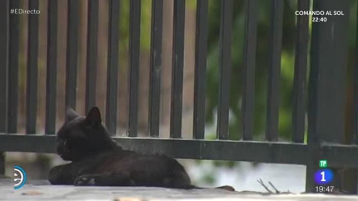 España Directo - Termas As Burgas