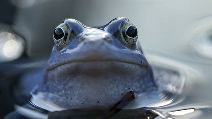 Grandes documentales - Lusacia: De infierno a paraíso