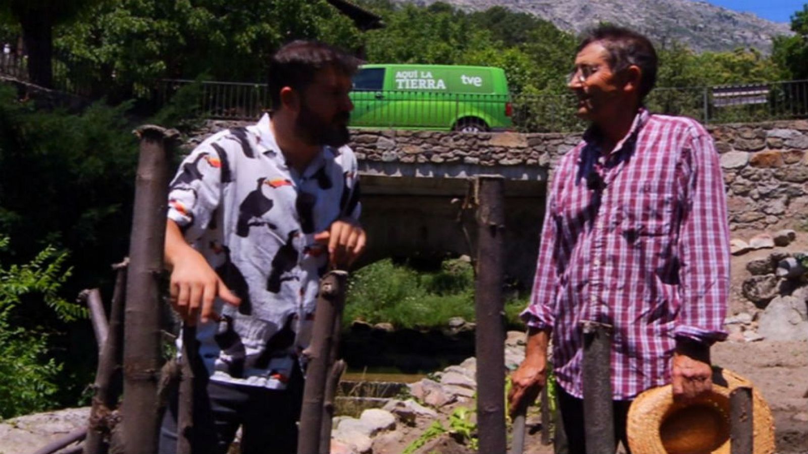 El bosque encantando de Cuevas del Valle