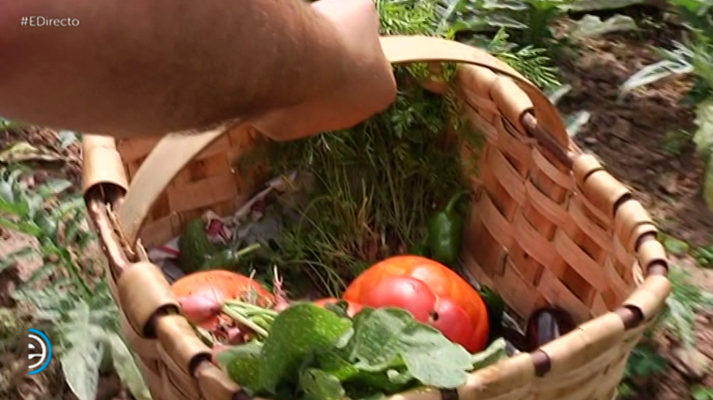 España Directo - España Directo - 07/08/18