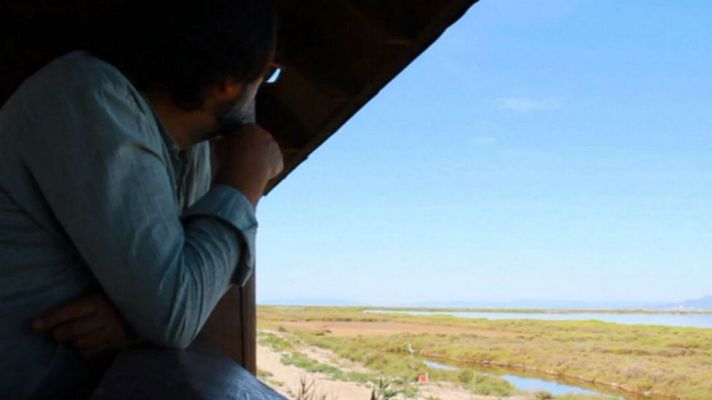 Aquí la Tierra - Día de campo ilustrado