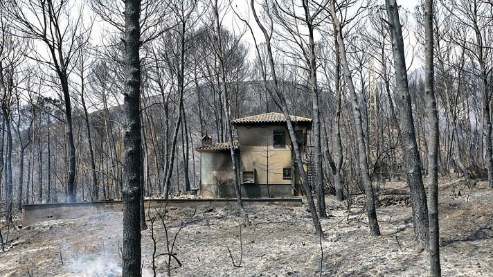 Telediario 1 - Telediario 2 en 4' - 08/08/18
