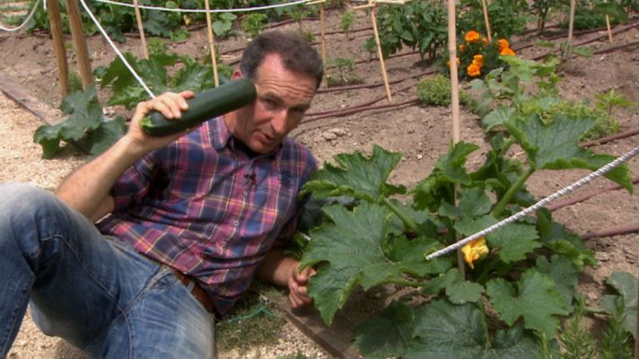 Aquí la Tierra - ¿Te atreves a plantar calabacines?