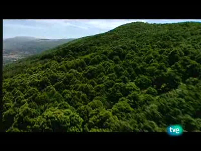 Espacios naturales - Nuestros parques nacionales - Monfragüe