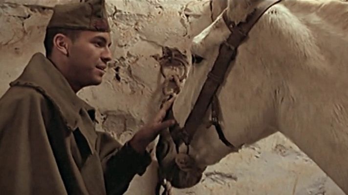 Cine internacional - La mula