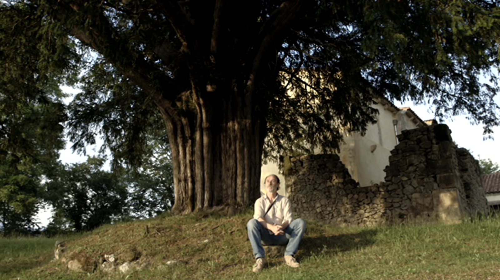Grandes árboles para la vida - El árbol y el hombre - ver ahora