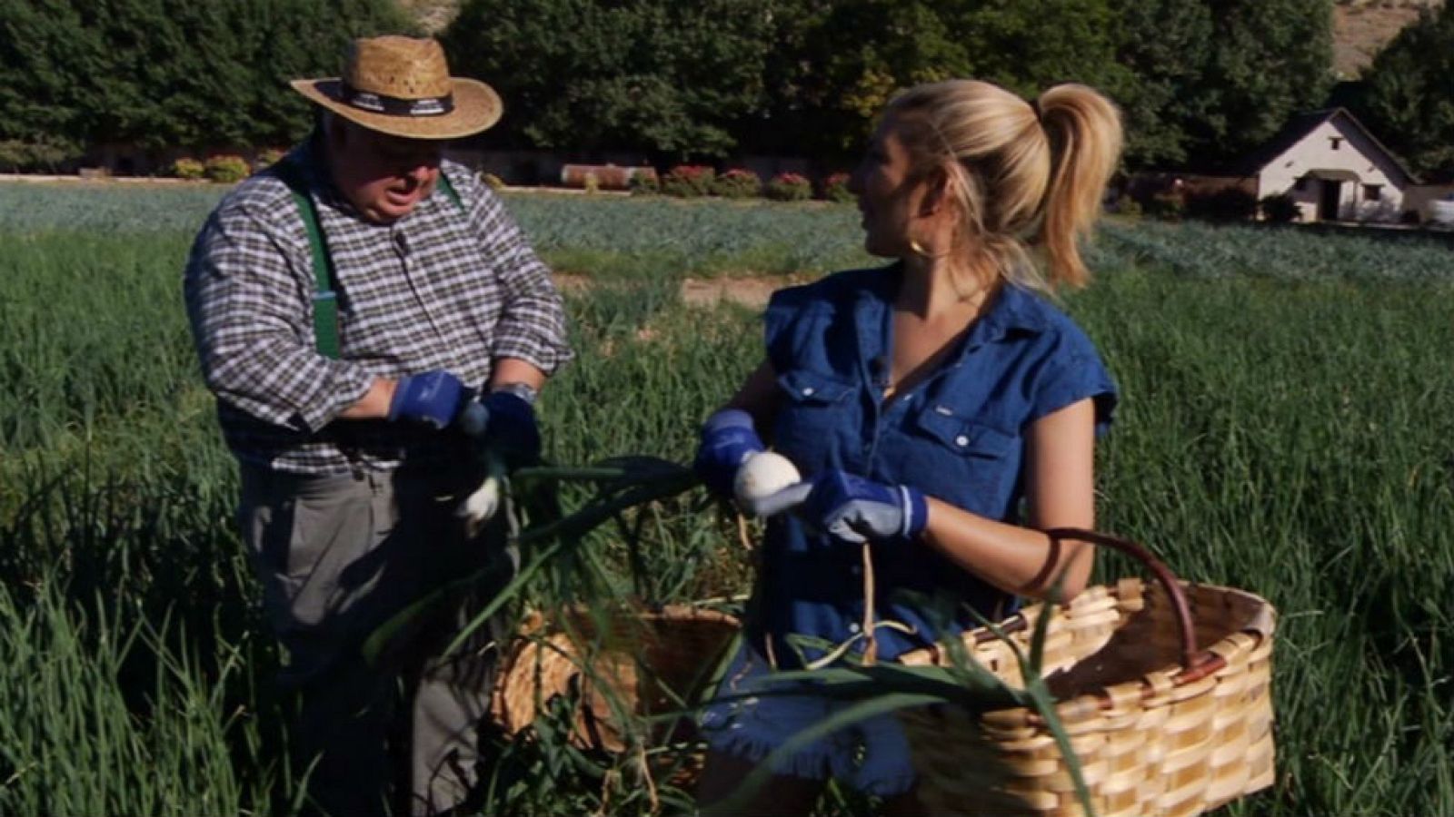 La influencia del agua en las verduras