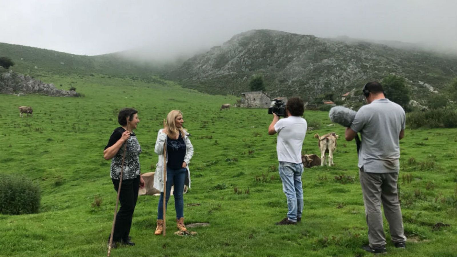 Gamoneu, un queso de pata negra
