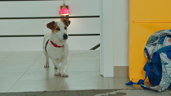 Sabuesos - Episodio 3