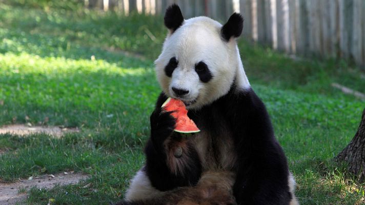 Informativo de Madrid - El Tiempo en la Comunidad de Madrid - 16/08/18