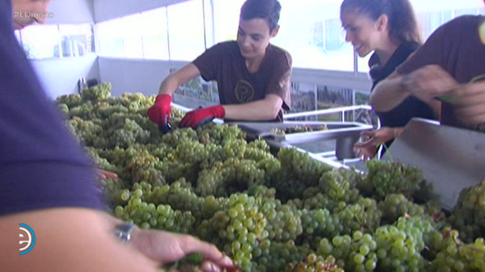 España Directo - 16/08/18 - ver ahora