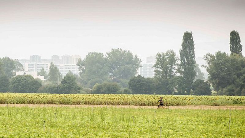 Los chubascos y tormentas en el este irán cesando
