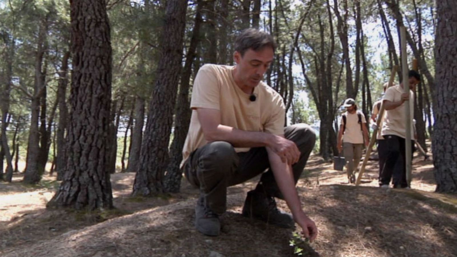 Reforestando nuestros bosques