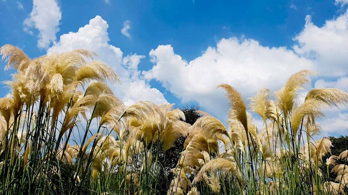El tiempo - Viento de levante fuerte con rachas muy fuertes en Estrecho y Cádiz