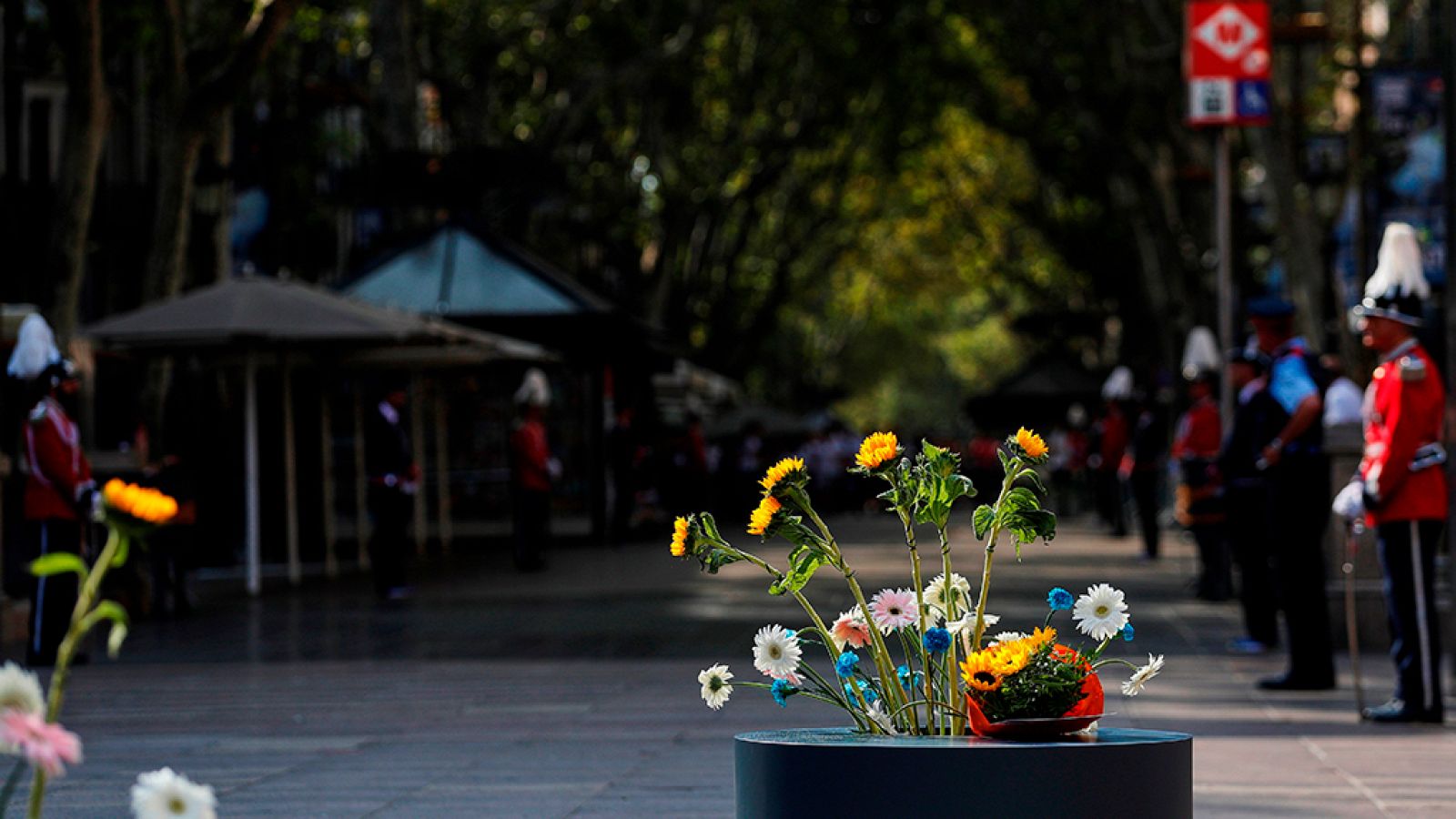 Informe Semanal - 18/08/18 - ver ahora