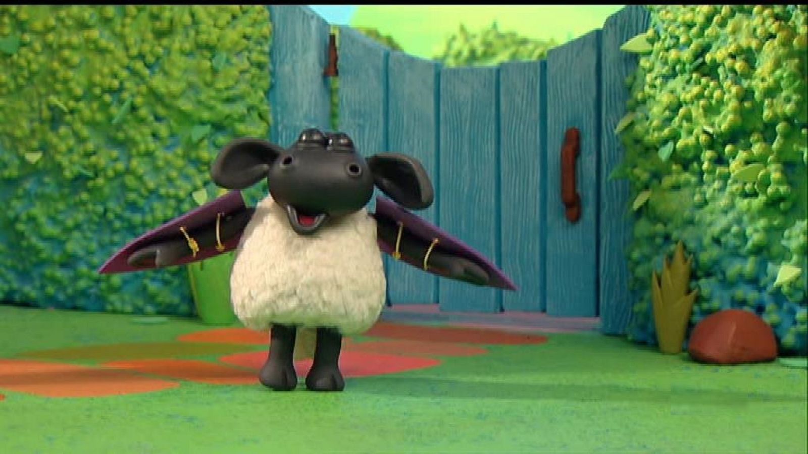 Timmy aprende a volar - La hora de Timmy | Ver