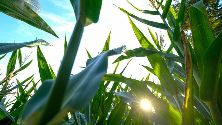 Informativo de Madrid - El Tiempo en la Comunidad de Madrid - 21/08/18