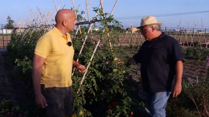 Aquí la Tierra - Alboraya, huerta de luz y sabor