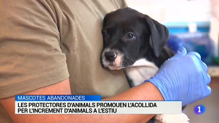 L'Informatiu - L'informatiu - 22/08/2018