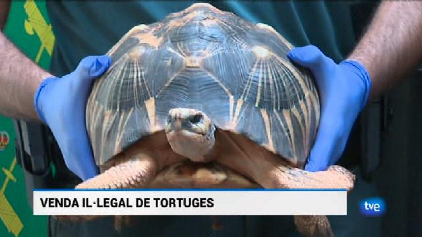 Informatiu Balear - 22/08/18