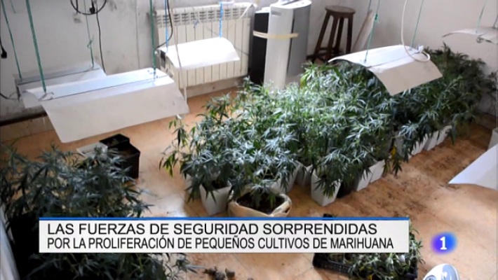 Informativo Telerioja - Informativo Telerioja 2 - 22/08/18