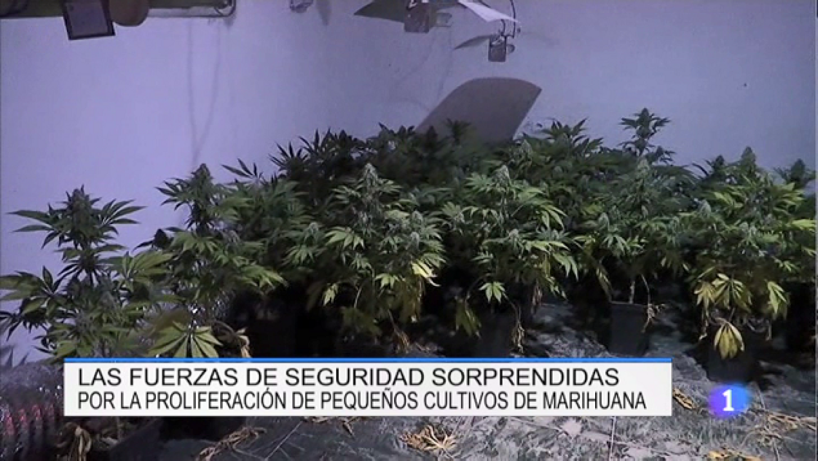 Telerioja en 2' - 22/08/18