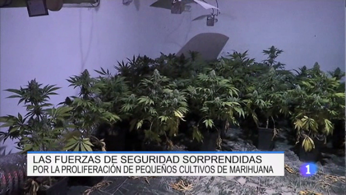 Informativo Telerioja - Informativo Telerioja - 22/08/18